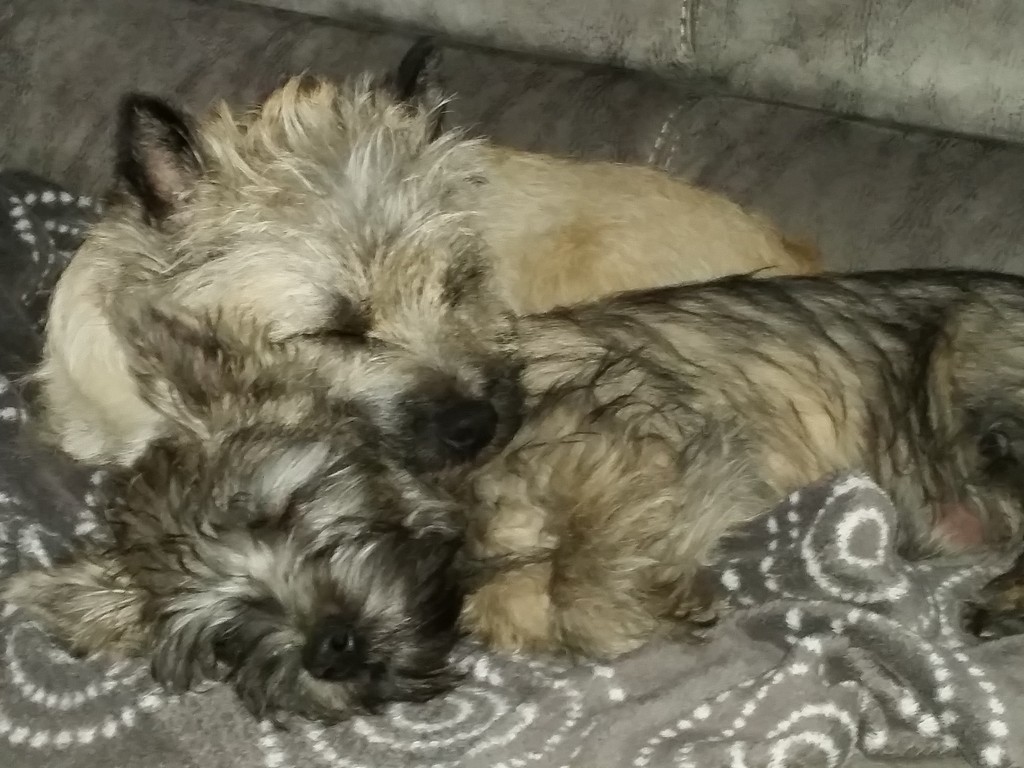 Zondag in het Zuiden